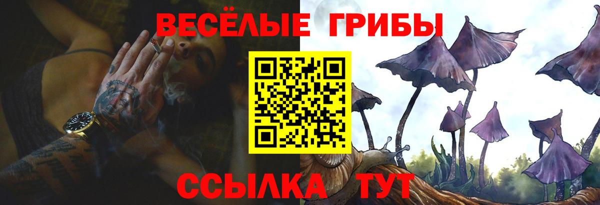 Владивосток  Псилоцибиновые грибы прущие грибы  Вход с VPN 